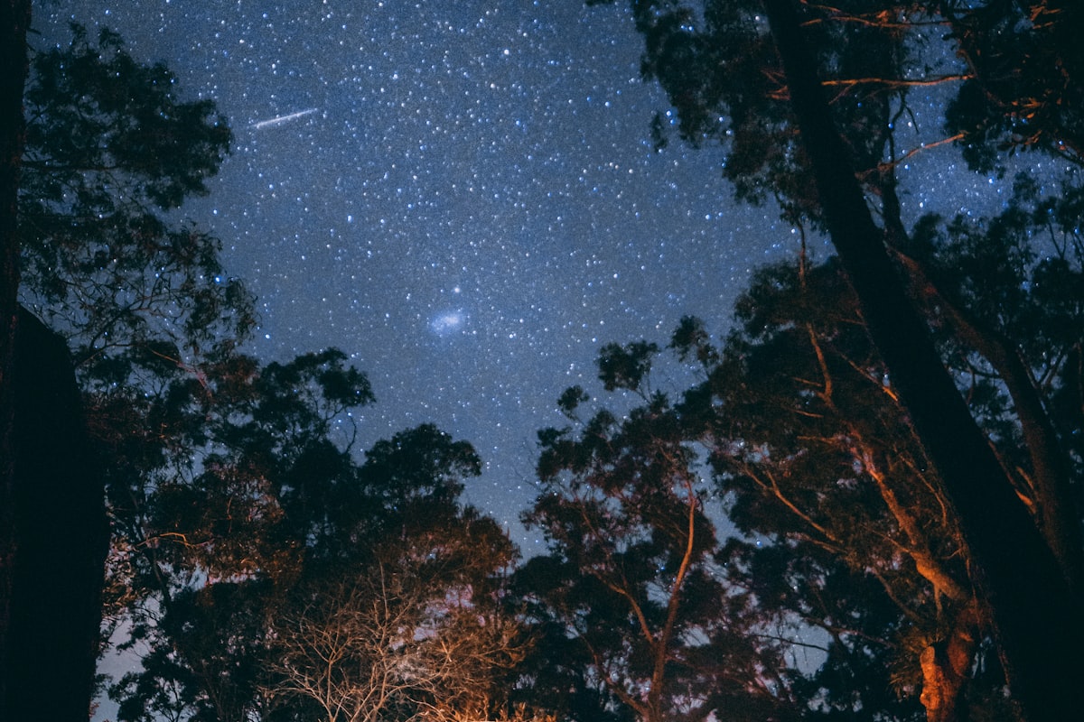 家庭用户在森林中使用米兰·(milan)露营帐篷与炊具的温馨露营画面